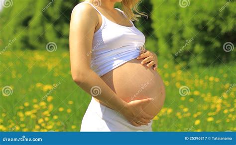 Beautiful Pregnant Belly Stock Image Image Of Maternal 25396817
