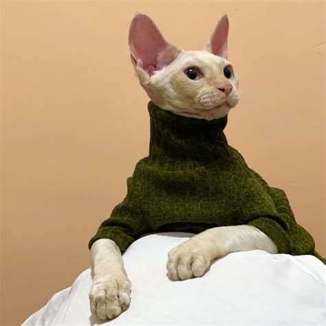 Cats Sweaters Sphynx Cat Turtleneck Hairless Cat Turtleneck