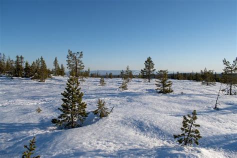 Winter Landscape In Hedmark County Norway Stock Image Image Of