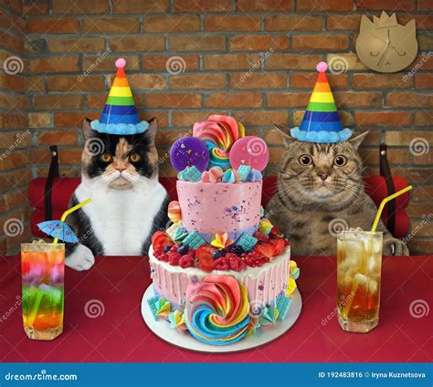 Happy Birthday Cat Eating Cake