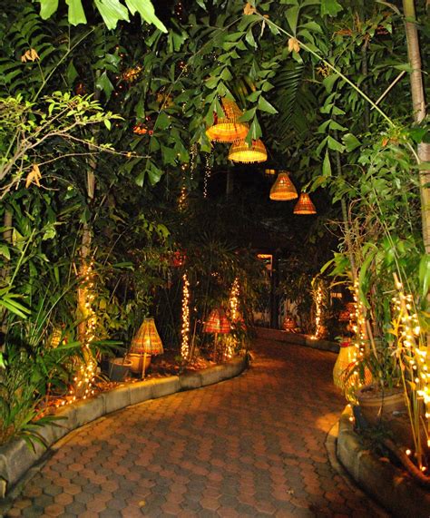 Enchanted Garden Pathway With Lights Backyard Enchanted Garden Outdoor