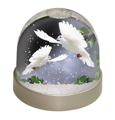 Two Beautiful White Doves Snow Dome Photo Globe Waterball Animal T