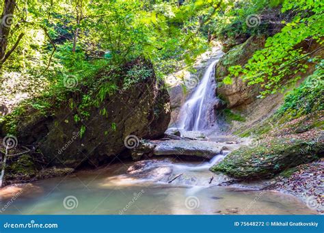 Waterfall In Dark Forest Stock Photo Image Of Clear 75648272