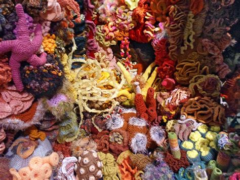 The Crochet Coral Reef Project 25 Pics Twistedsifter