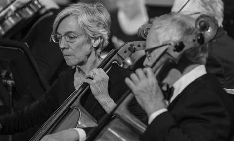 Meet The Musicians Frederick Symphony Orchestra