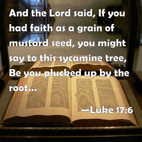 Luke 176 And The Lord Said If You Had Faith As A Grain Of Mustard