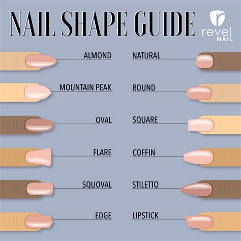 choosing a perfect nail shape revelnail acrylic nail shapes perfect nails nail shapes
