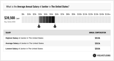 Janitor Salary (Actual 2024 | Projected 2025) | VelvetJobs