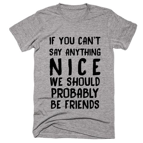 If You Cant Say Anything Nice We Should Probably Be Friends T Shirt Shirtoopia