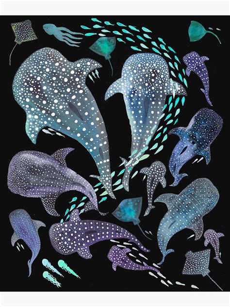 Whale Shark Ray Amp Sea Creature Play Print Poster For Sale By