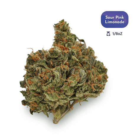 Sour Pink Lemonade Strain Buy - Cannabis & Marijuana for Sale