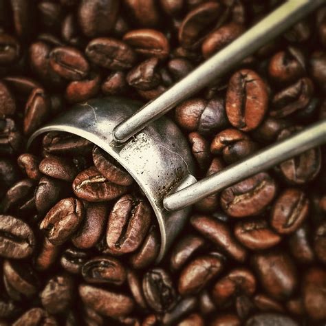 free images coffee bean produce drink close up caffeine grinder roasting beans