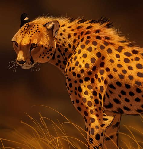 Cheetah By Pixxus On Deviantart