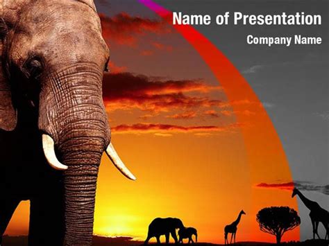African Nature Powerpoint Templates African Nature Powerpoint