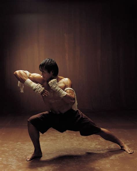Sports Muay Thai Martial Arts Muay Thai Fighting Poses