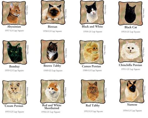 Select your favorite cat breeds, find your favorite kitty then contact the seller. cat breeds list a-z | Zoe Fans Blog | Animals make our ...
