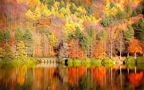 Free Download Beautiful Autumn Desktop Wallpaper New Hd Wallpapers