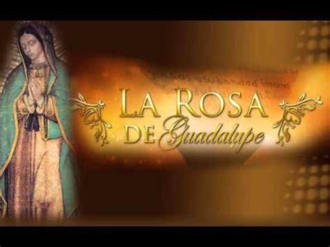 Cada uno de esos milagros se traduce en una historia, que nutrirá el contenido de la rosa de guadalupe. La Rosa De Guadalupe - La Rosa De Guadalupe - Televisa ...