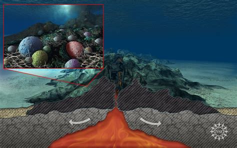 There are so many more reasons to protect the ocean other than the fact that we can use it to find new medicines for us. Bacteria "Feed" on Earth's Ocean-Bottom Crust- All Images ...