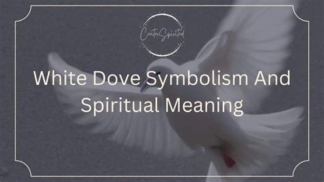 White Dove Symbolism And Spiritual Meaning
