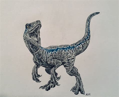 Drawing Of Blue Blue Drawings Blue Jurassic World Velociraptor Drawing