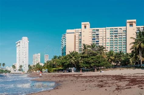 Check spelling or type a new query. Setzen Sie Mit Hotels Und Palme In Puerto Rico San Juan ...