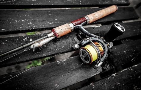 These Are The Best Spinning Reels For Bass