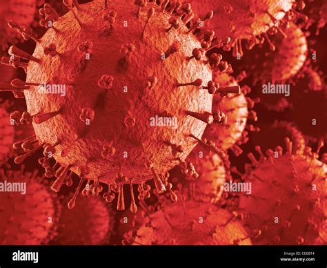 Vogelgrippe Virus Fotos Und Bildmaterial In Hoher Auflösung Alamy
