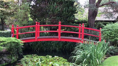 We did not find results for: Japanese Garden Kildare Ireland - YouTube