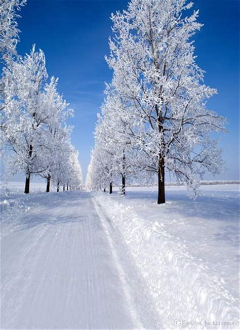 2020 Sunny Blue Sky Winter Scenic Photography Backdrops Snow Covered