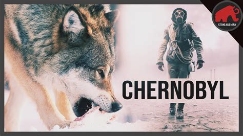 Wolves Of Chernobyl The Myth And Truth Revealed Youtube