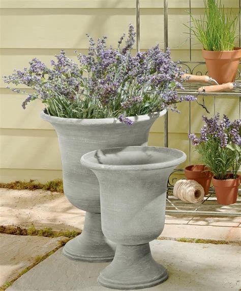 Buy Stone Effect Planters From The Next Uk Online Shop Garden