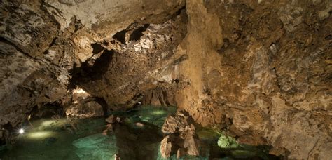 Bozkovské Bozkov Dolomite Caves International Show Caves Association
