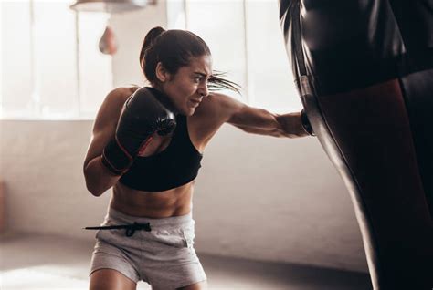 7 best punching bags and heavy bag solutions for apartments