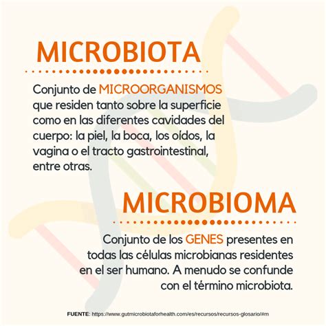Importancia De La Microbiota Y El Microbioma Intestinal En La