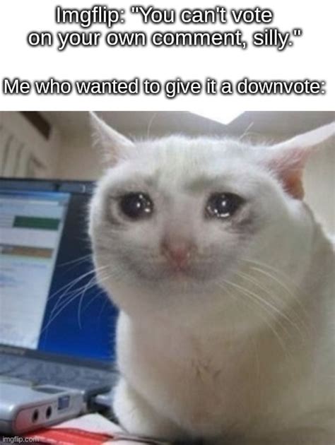 Image Tagged In Crying Catfunnymemesimgflipnever Gonna Give You Up