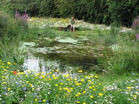 Wildlife Ponds Construction Norfolk Suffolk And Cambridgeshire