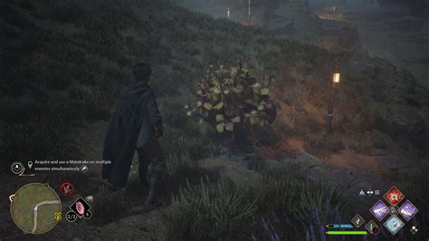 Professor Garlick’s Assignment 1 - Hogwarts Legacy Guide - IGN