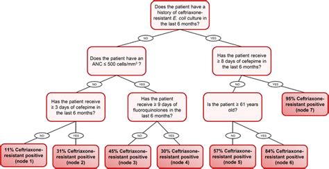 Clinical Decision Tree Download Scientific Diagram