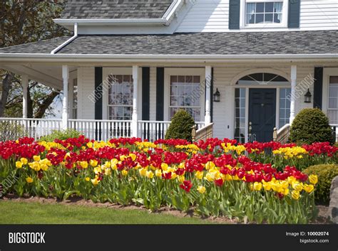 Tulip House Image And Photo Free Trial Bigstock