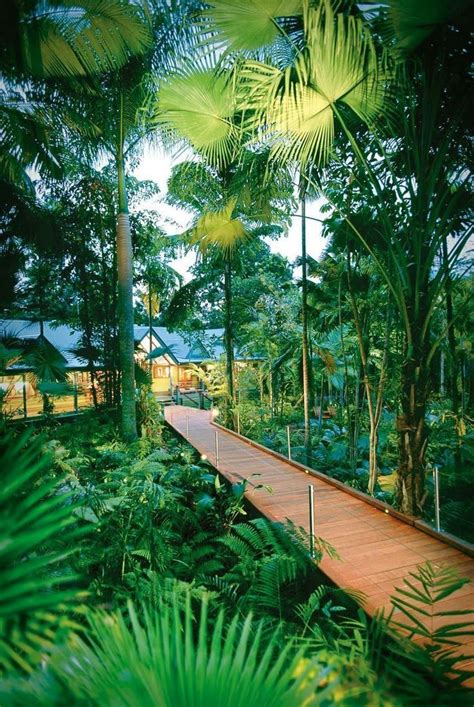 Tropical Rainforest Australia Places To Go Beautiful