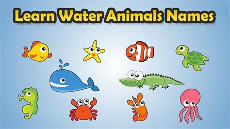Learn Water Animals Name Aquatic Animals Water Animals Sea