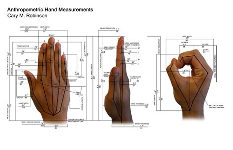 Anthropometric Hand Data Id201 Pinterest Product Design