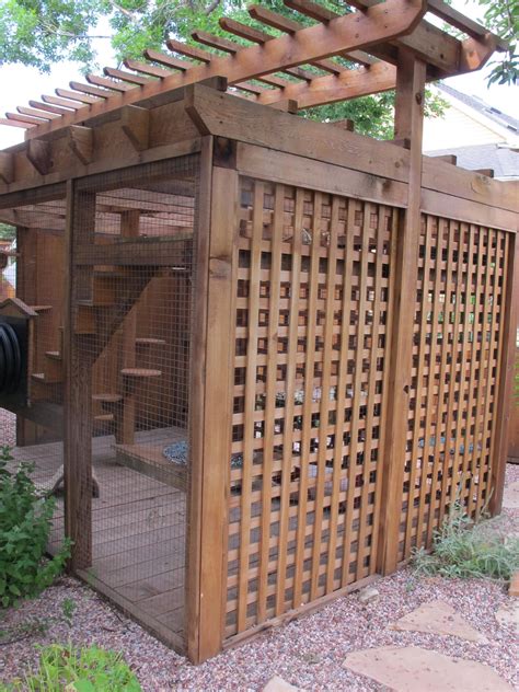 10 Catios And Cat Enclosures Your Cats Will Thank You For