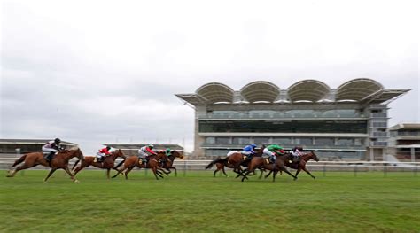 Newmarket Races Tips Racecards And Betting Preview For The Qipco 2000