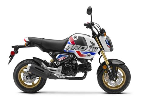 $3399 usd canada msrp price: 2022 Honda Grom | First Look Review | Rider Magazine