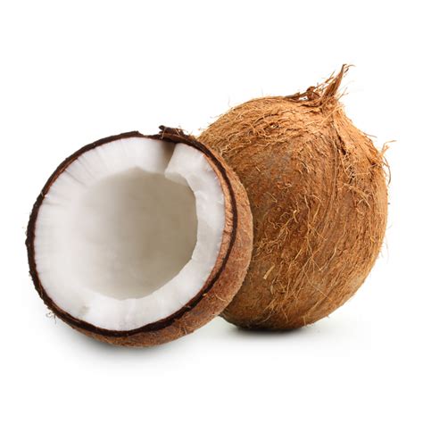 Coconut Shop Apni