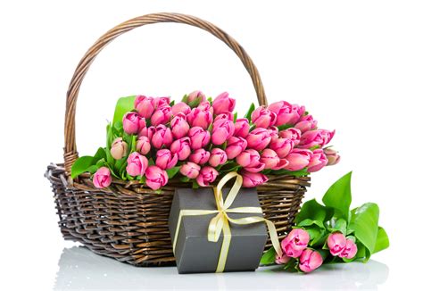 4k Tulips Many Wicker Basket Pink Color Ts White Background