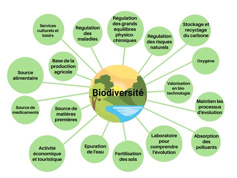 2021 Sera Lannée De La Biodiversité Connexion Nature