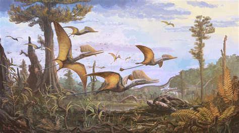 New Species Of Jurassic Pterosaur Unearthed On Scotlands Isle Of Skye